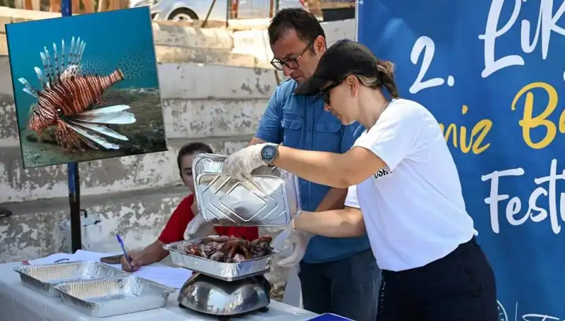 Antalya'da Israrla Çoğalan Aslan Balıkları için Avlama Yarışması Düzenleniyor