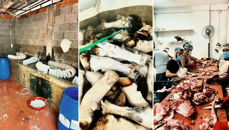 Adana'da Sıcak Gelişme: Yüzlerce Kilo Paça İle Ürpertici Manzara