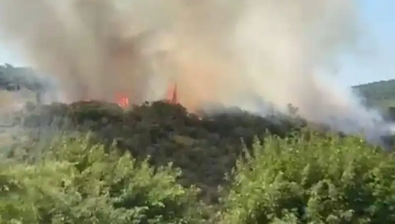 İstanbul'da Dumanlar Yükseliyor: Orman Yangını Neden Tahliye Edildi?