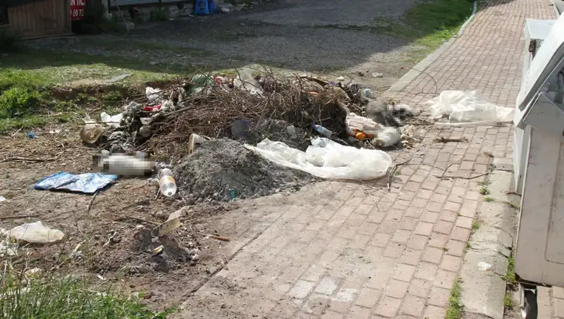 Antalya'da Şok Eden Olay: 10 Kedi Bulundu, Vahşet Gündemde!