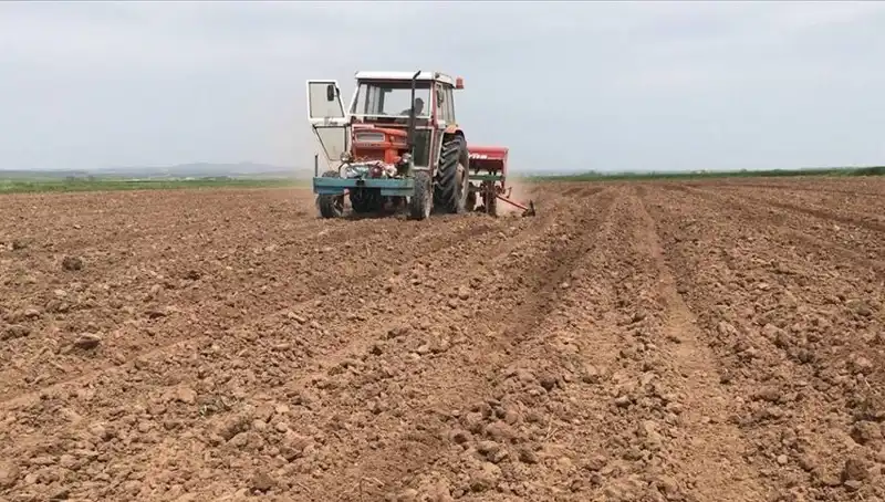 Son 35 Yılın En Kurak Mart Ayı: Türkiye’de Yağışlarda Düşüş Yaşandı