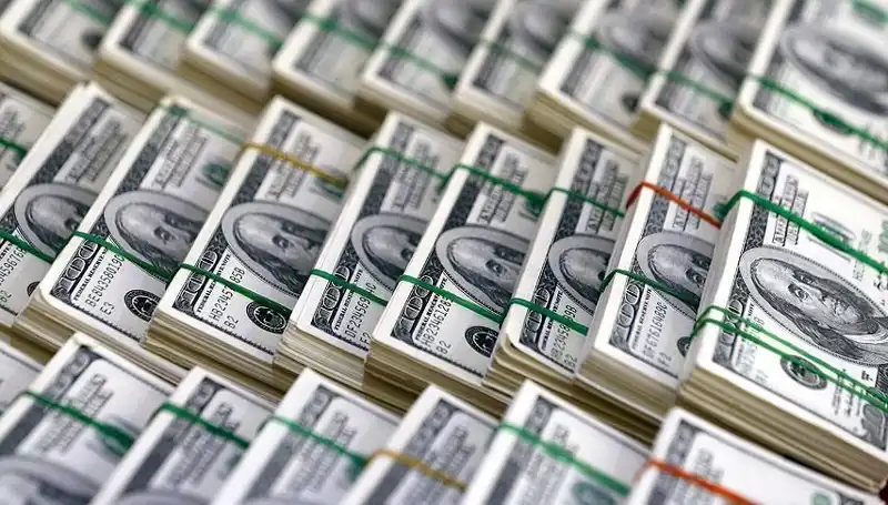 Doların Hızla Yükselişine Dikkat! Ekonomistler Uyarıyor!