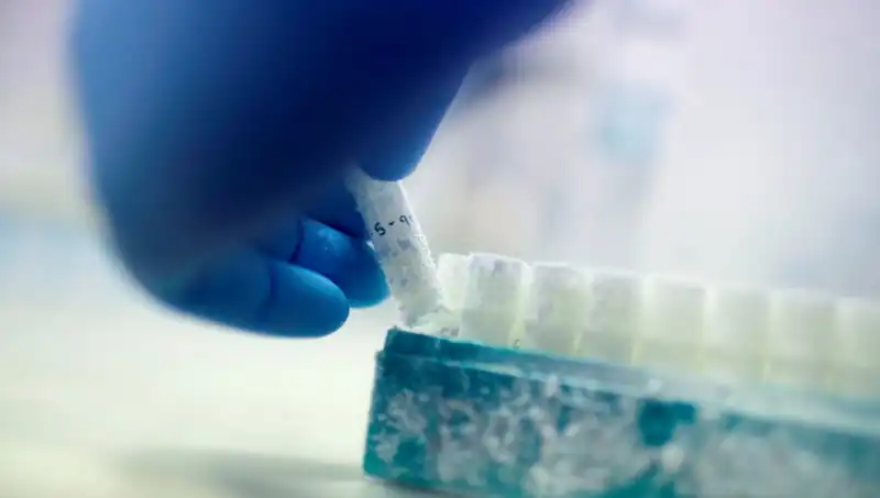 85 Sperm Donörüyle Yüzlerce Çocuk: Tıbbi Felaketin Gerçekleri