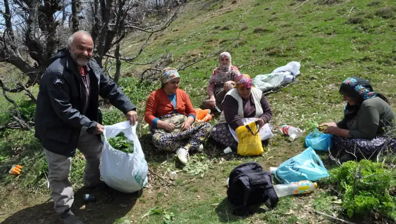 Yüzlerce Ailenin Geçim Kaynağı: 5 Saat Yürüyüp 250 Lira Değerinde Toplama