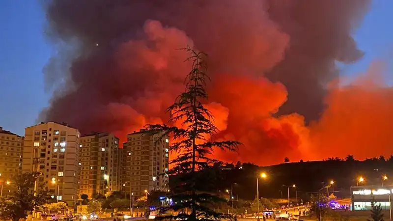 Bursa'da Korkutan Yangınlar: Şehir Alev Alev!