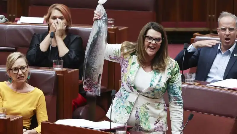 Parlamentoda Çürük Balık Protestosu: Senatörler Tiksinerek Flee Etti!