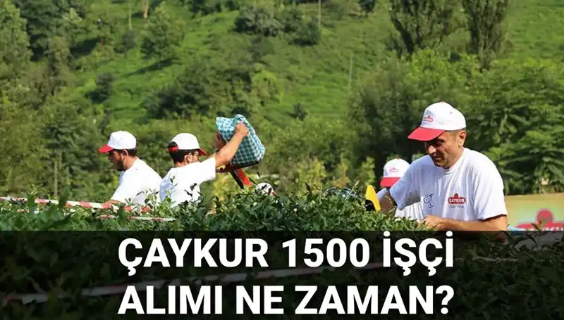 Çaykur İşçi Alımı Başvuru Tarihleri ve Son Durum Hakkında Bilgi