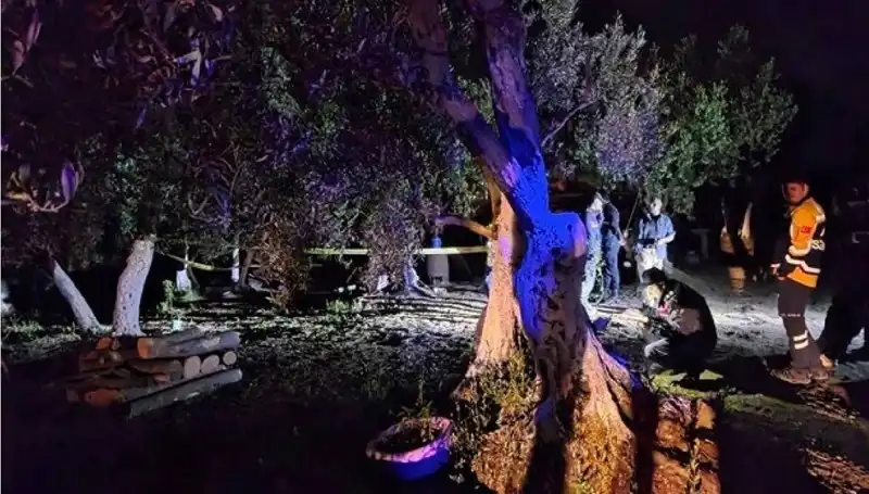 Çiftlikteki Baltalı Vahşet Olayında Bir Kişi Tutuklandı