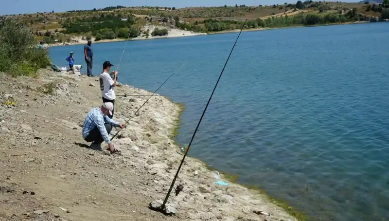 Kafesler Patladı: Baraja Koşanların Nedenini Öğrenin!