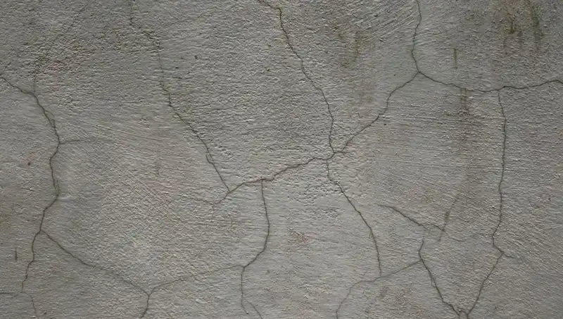 Canlı Beton Teknolojisi: Kendi Kendini Onaran Çatlaklarla Geleceği Şekillendiriyor