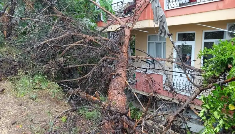 Yağmurun Kurbanı: Bina Çöktü, Şehirde Panik İsyanı